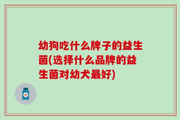 幼狗吃什么牌子的益生菌(选择什么品牌的益生菌对幼犬好)