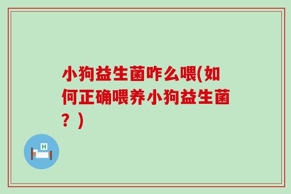 小狗益生菌咋么喂(如何正确喂养小狗益生菌?) 小狗益生菌咋么喂(如何正确喂养小狗益生菌?)