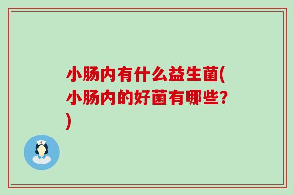 小肠内有什么益生菌(小肠内的好菌有哪些?) 小肠内有什么益生菌(小肠内的好菌有哪些?)
