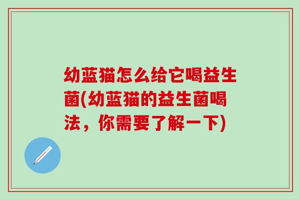幼蓝猫怎么给它喝益生菌(幼蓝猫的益生菌喝法,你需要了解一下) 幼蓝猫怎么给它喝益生菌(幼蓝猫的益生菌喝法,你需要了解一下)
