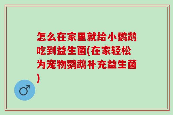 怎么在家里就给小鹦鹉吃到益生菌(在家轻松为宠物鹦鹉补充益生菌) 怎么在家里就给小鹦鹉吃到益生菌(在家轻松为宠物鹦鹉补充益生菌)