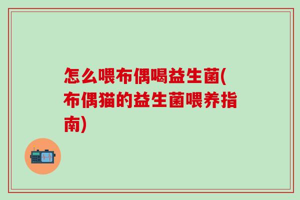 怎么喂布偶喝益生菌(布偶猫的益生菌喂养指南) 怎么喂布偶喝益生菌(布偶猫的益生菌喂养指南)