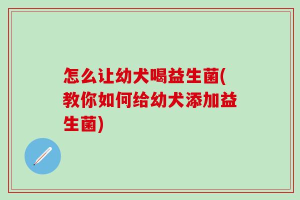 怎么让幼犬喝益生菌(教你如何给幼犬添加益生菌)