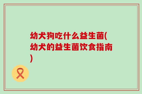 幼犬狗吃什么益生菌(幼犬的益生菌饮食指南)