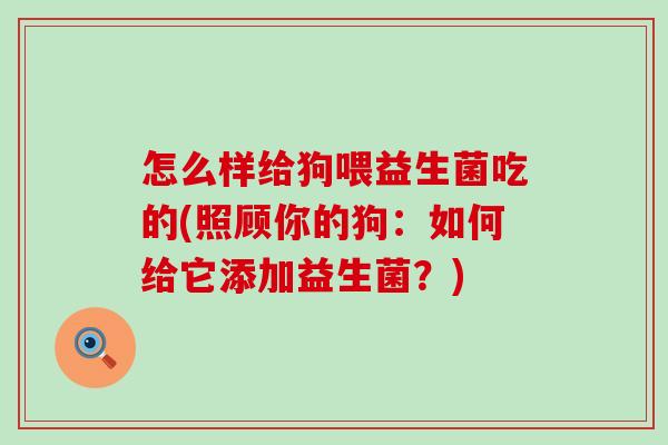 怎么样给狗喂益生菌吃的(照顾你的狗：如何给它添加益生菌？)