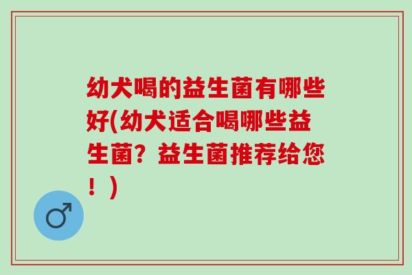 幼犬喝的益生菌有哪些好(幼犬适合喝哪些益生菌?益生菌推荐给您!) 幼犬喝的益生菌有哪些好(幼犬适合喝哪些益生菌?益生菌推荐给您!)