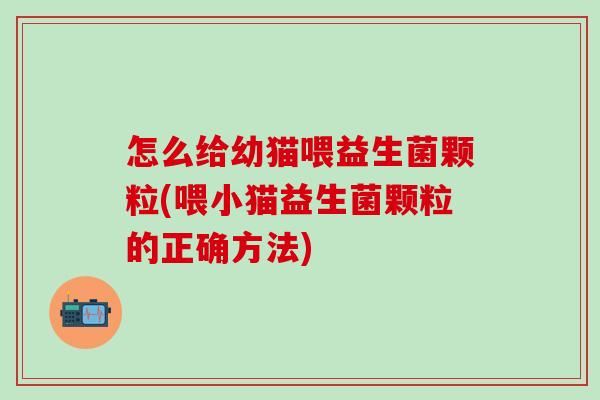 怎么给幼猫喂益生菌颗粒(喂小猫益生菌颗粒的正确方法) 怎么给幼猫喂益生菌颗粒(喂小猫益生菌颗粒的正确方法)