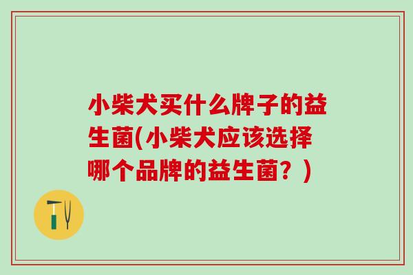 小柴犬买什么牌子的益生菌(小柴犬应该选择哪个品牌的益生菌?) 小柴犬买什么牌子的益生菌(小柴犬应该选择哪个品牌的益生菌?)