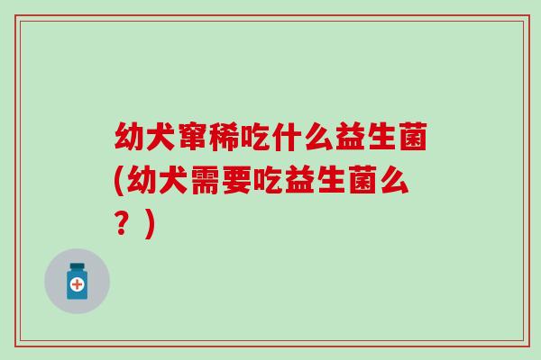 幼犬窜稀吃什么益生菌(幼犬需要吃益生菌么?) 幼犬窜稀吃什么益生菌(幼犬需要吃益生菌么?)