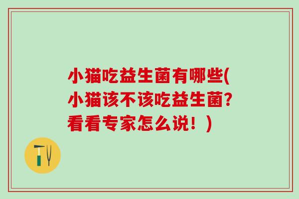 小猫吃益生菌有哪些(小猫该不该吃益生菌?看看专家怎么说!) 小猫吃益生菌有哪些(小猫该不该吃益生菌?看看专家怎么说!)