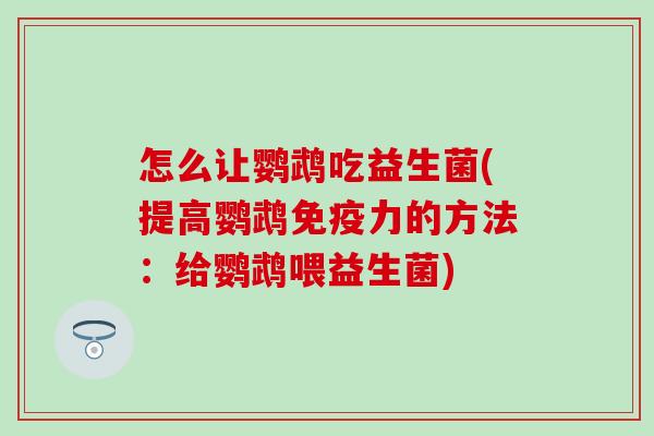 怎么让鹦鹉吃益生菌(提高鹦鹉力的方法:给鹦鹉喂益生菌) 怎么让鹦鹉吃益生菌(提高鹦鹉力的方法:给鹦鹉喂益生菌)