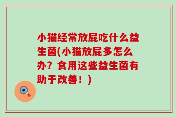 小猫经常放屁吃什么益生菌(小猫放屁多怎么办?食用这些益生菌有助于改善!) 小猫经常放屁吃什么益生菌(小猫放屁多怎么办?食用这些益生菌有助于改善!)