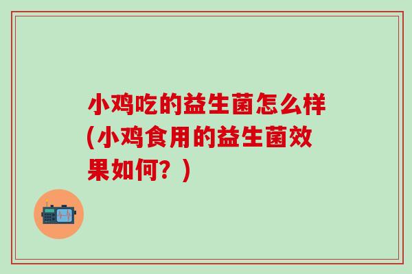 小鸡吃的益生菌怎么样(小鸡食用的益生菌效果如何?) 小鸡吃的益生菌怎么样(小鸡食用的益生菌效果如何?)