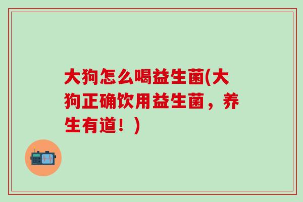 大狗怎么喝益生菌(大狗正确饮用益生菌，养生有道！)