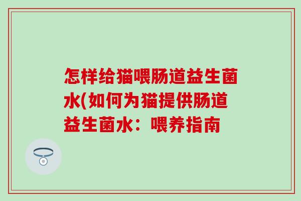 怎样给猫喂肠道益生菌水(如何为猫提供肠道益生菌水：喂养指南