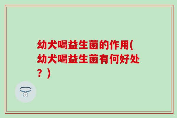幼犬喝益生菌的作用(幼犬喝益生菌有何好处？)