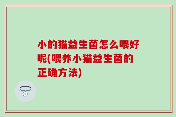小的猫益生菌怎么喂好呢(喂养小猫益生菌的正确方法) 小的猫益生菌怎么喂好呢(喂养小猫益生菌的正确方法)