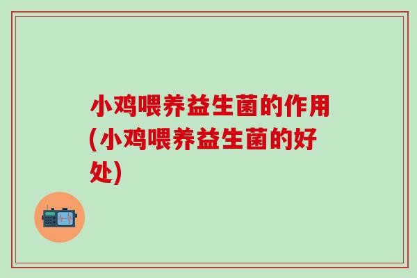 小鸡喂养益生菌的作用(小鸡喂养益生菌的好处)