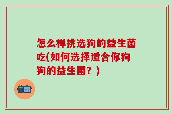 怎么样挑选狗的益生菌吃(如何选择适合你狗狗的益生菌？)