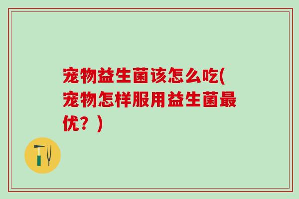 宠物益生菌该怎么吃(宠物怎样服用益生菌优？)