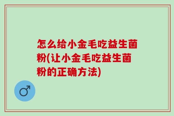 怎么给小金毛吃益生菌粉(让小金毛吃益生菌粉的正确方法) 怎么给小金毛吃益生菌粉(让小金毛吃益生菌粉的正确方法)