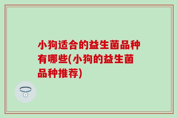 小狗适合的益生菌品种有哪些(小狗的益生菌品种推荐) 小狗适合的益生菌品种有哪些(小狗的益生菌品种推荐)