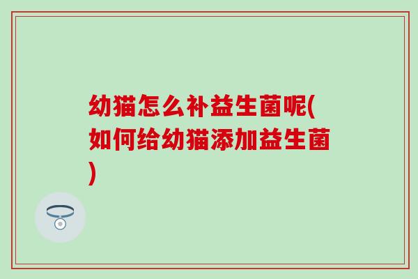 幼猫怎么补益生菌呢(如何给幼猫添加益生菌) 幼猫怎么补益生菌呢(如何给幼猫添加益生菌)