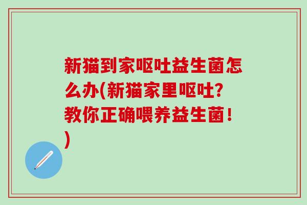 新猫到家益生菌怎么办(新猫家里？教你正确喂养益生菌！)