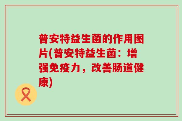 普安特益生菌的作用图片(普安特益生菌:增强力,改善肠道健康) 普安特益生菌的作用图片(普安特益生菌:增强力,改善肠道健康)