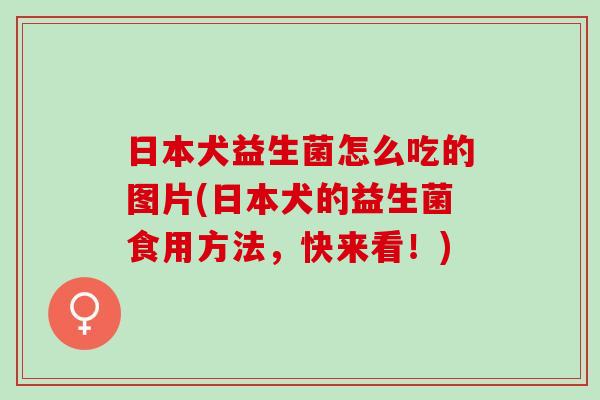 日本犬益生菌怎么吃的图片(日本犬的益生菌食用方法,快来看!) 日本犬益生菌怎么吃的图片(日本犬的益生菌食用方法,快来看!)