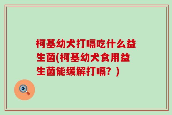 柯基幼犬打嗝吃什么益生菌(柯基幼犬食用益生菌能缓解打嗝?) 柯基幼犬打嗝吃什么益生菌(柯基幼犬食用益生菌能缓解打嗝?)
