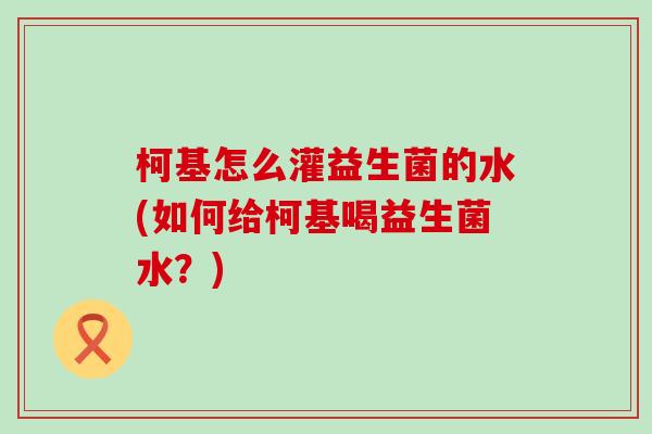 柯基怎么灌益生菌的水(如何给柯基喝益生菌水？)