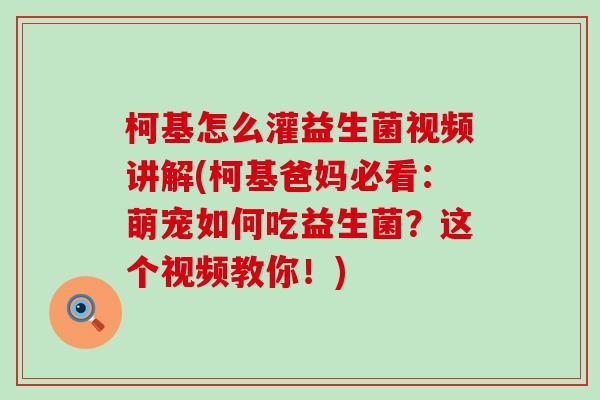柯基怎么灌益生菌视频讲解(柯基爸妈必看：萌宠如何吃益生菌？这个视频教你！)