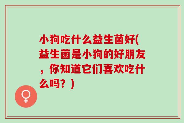 小狗吃什么益生菌好(益生菌是小狗的好朋友，你知道它们喜欢吃什么吗？)