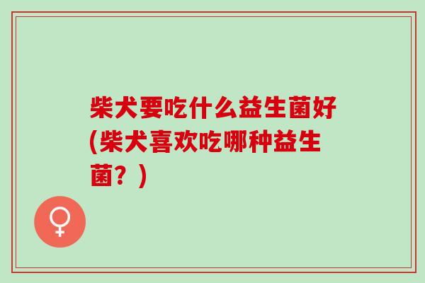 柴犬要吃什么益生菌好(柴犬喜欢吃哪种益生菌?) 柴犬要吃什么益生菌好(柴犬喜欢吃哪种益生菌?)