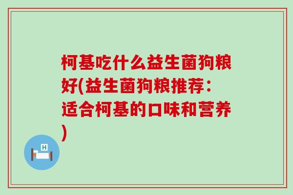 柯基吃什么益生菌狗粮好(益生菌狗粮推荐：适合柯基的口味和营养)