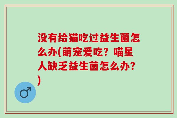 没有给猫吃过益生菌怎么办(萌宠爱吃?喵星人缺乏益生菌怎么办?) 没有给猫吃过益生菌怎么办(萌宠爱吃?喵星人缺乏益生菌怎么办?)