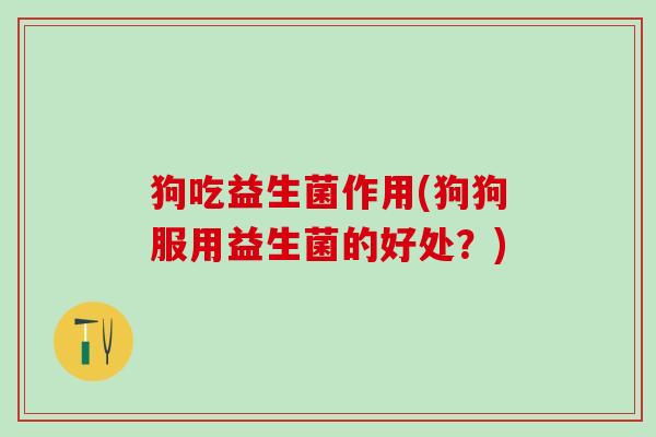 狗吃益生菌作用(狗狗服用益生菌的好处?) 狗吃益生菌作用(狗狗服用益生菌的好处?)