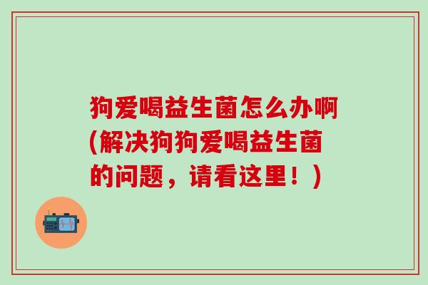 狗爱喝益生菌怎么办啊(解决狗狗爱喝益生菌的问题，请看这里！)