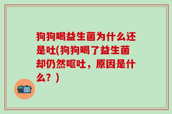 狗狗喝益生菌为什么还是吐(狗狗喝了益生菌却仍然,原因是什么?) 狗狗喝益生菌为什么还是吐(狗狗喝了益生菌却仍然,原因是什么?)