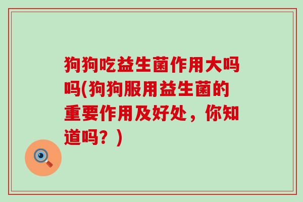 狗狗吃益生菌作用大吗吗(狗狗服用益生菌的重要作用及好处，你知道吗？)