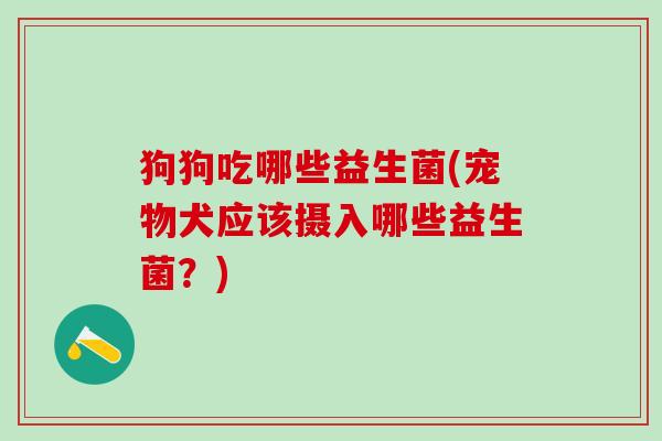 狗狗吃哪些益生菌(宠物犬应该摄入哪些益生菌？)