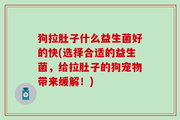 狗拉肚子什么益生菌好的快(选择合适的益生菌，给拉肚子的狗宠物带来缓解！)