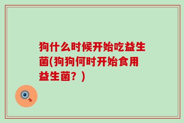 狗什么时候开始吃益生菌(狗狗何时开始食用益生菌?) 狗什么时候开始吃益生菌(狗狗何时开始食用益生菌?)