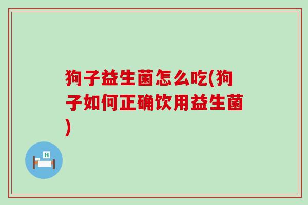 狗子益生菌怎么吃(狗子如何正确饮用益生菌) 狗子益生菌怎么吃(狗子如何正确饮用益生菌)