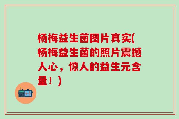 杨梅益生菌图片真实(杨梅益生菌的照片震撼人心,惊人的益生元含量!) 杨梅益生菌图片真实(杨梅益生菌的照片震撼人心,惊人的益生元含量!)