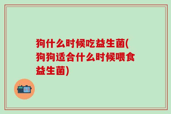 狗什么时候吃益生菌(狗狗适合什么时候喂食益生菌)