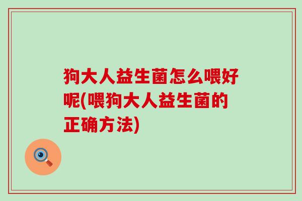 狗大人益生菌怎么喂好呢(喂狗大人益生菌的正确方法)