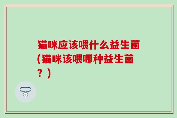 猫咪应该喂什么益生菌(猫咪该喂哪种益生菌？)