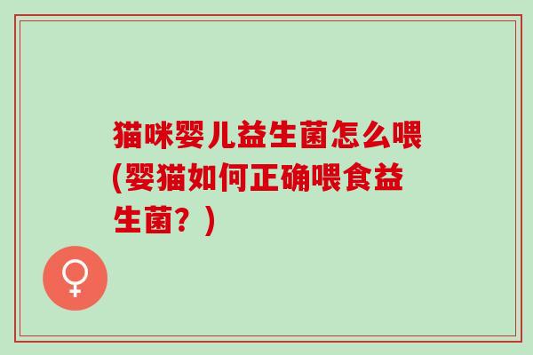 猫咪婴儿益生菌怎么喂(婴猫如何正确喂食益生菌？)